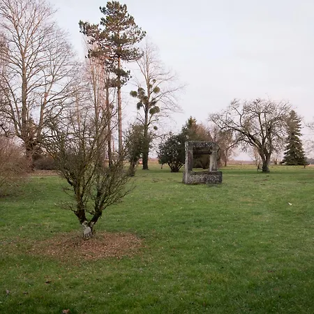 לינה וארוחת בוקר La Bribaudonniere Saint-Palais-de-Phiolin