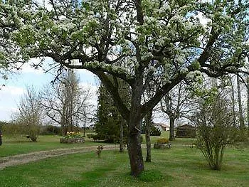 לינה וארוחת בוקר La Bribaudonniere 3*