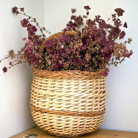 La Bribaudonniere Bed & Breakfast Saint-Palais-de-Phiolin