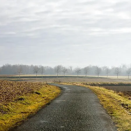 فندق مبيت وإفطار La Bribaudonniere 3*