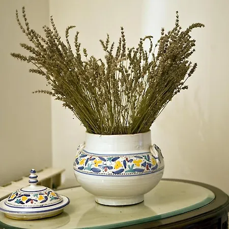 La Bribaudonniere 3*