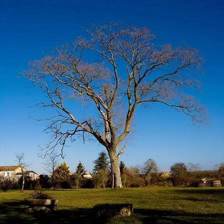 Bed & Breakfast La Bribaudonniere