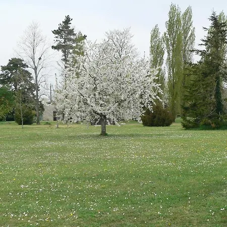 La Bribaudonnière 3* Saint-Palais-de-Phiolin