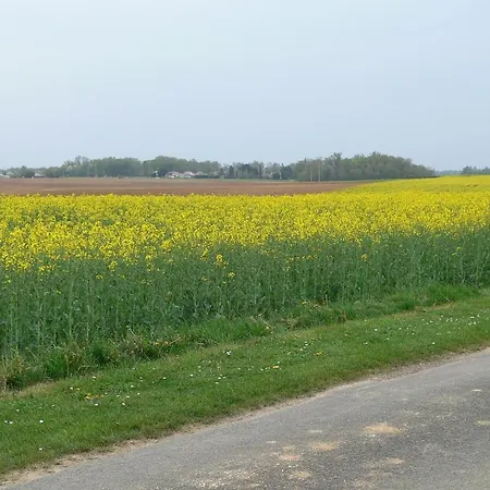 La Bribaudonniere 3*