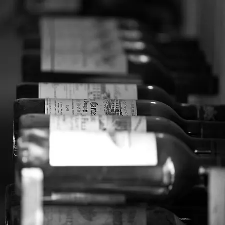 לינה וארוחת בוקר La Bribaudonniere